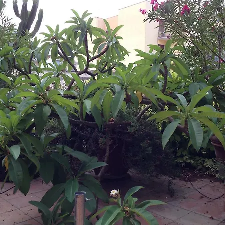 L'orangerie Di Cartia Giovanni 4* Modica